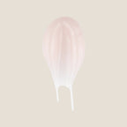 Polygel Rosewater Pink